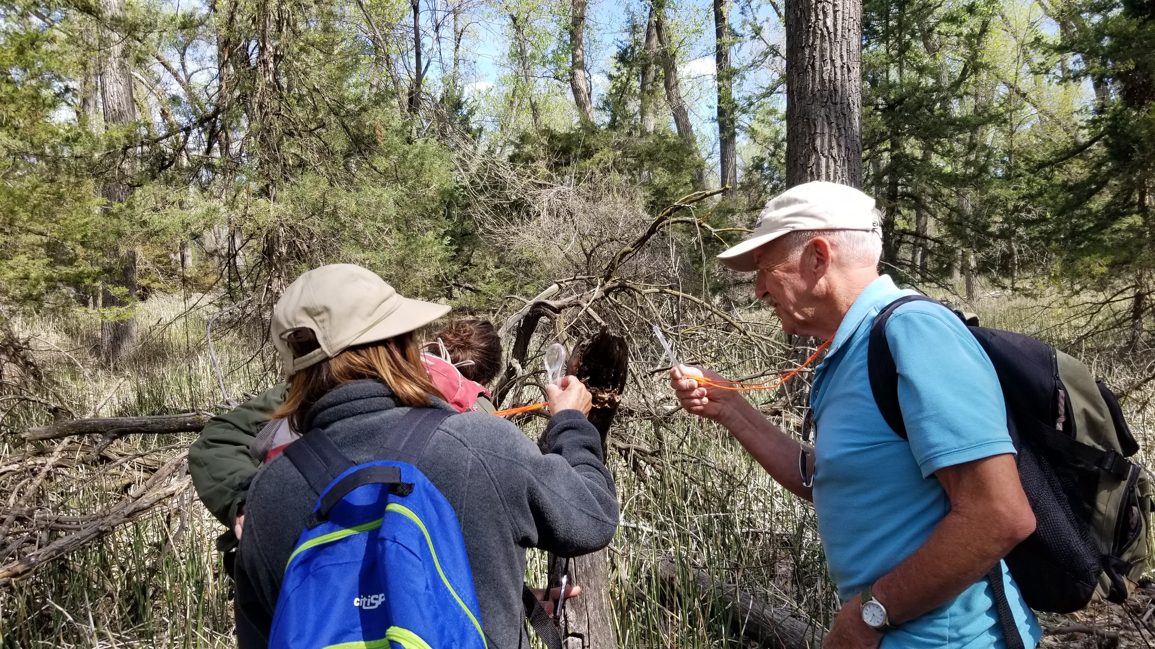 Two people wearing hats look at a tree through hand lenses