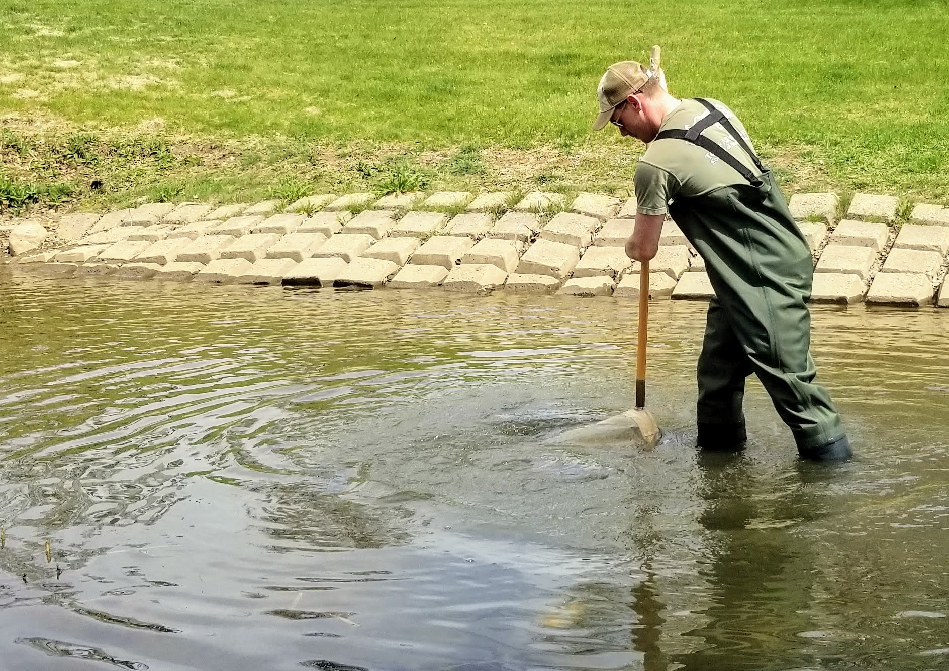 Man uses net to collect aquatic insects.