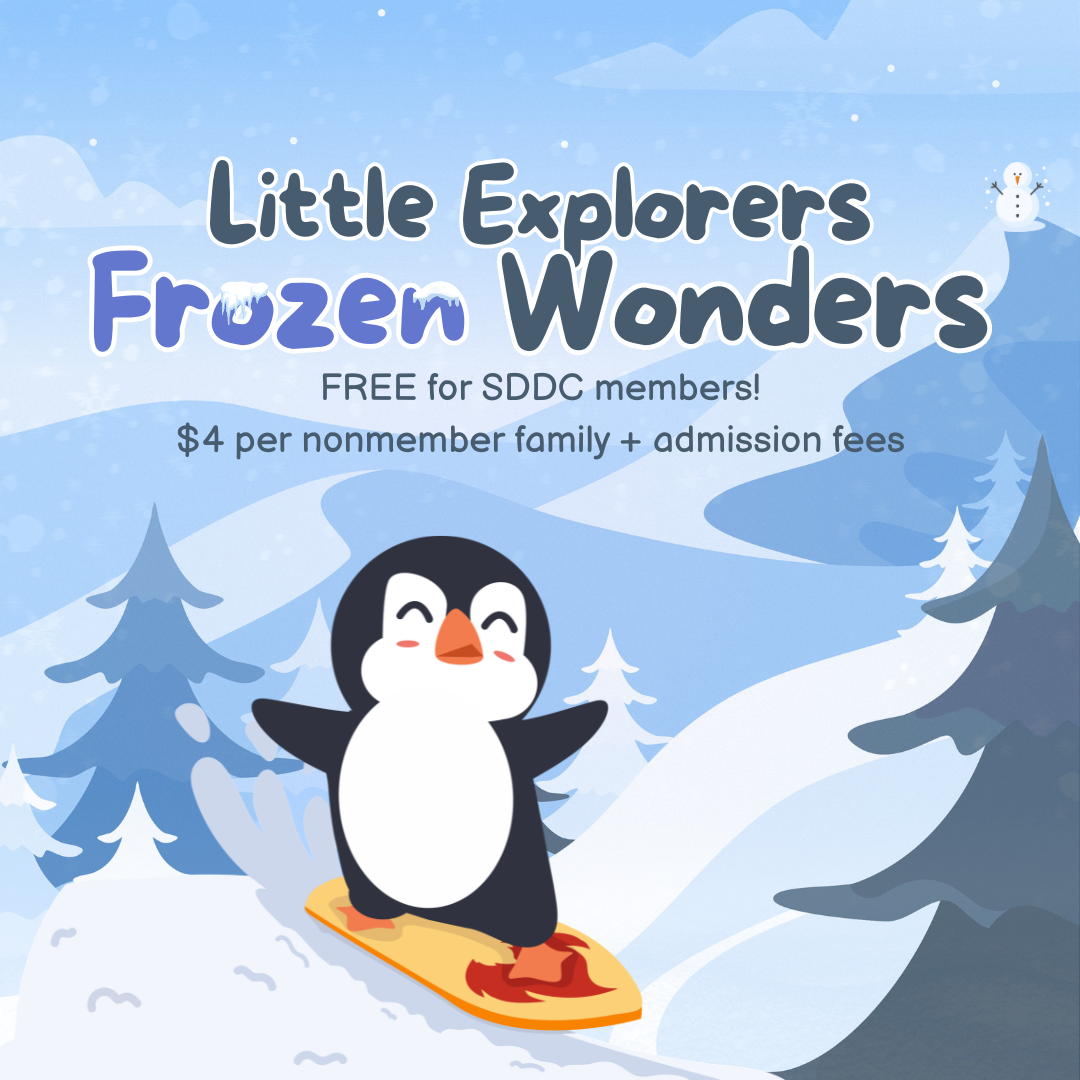 Little Explorers -